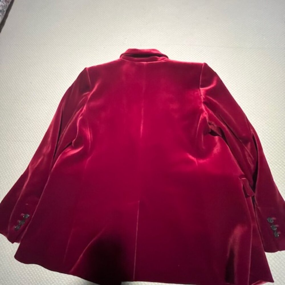 Velvet Double Breasted Blazer - Picture 7 of 8